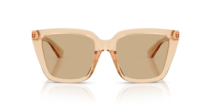 Burberry BE4473U Sunglasses in 429073 Beige / Dark Brown lens, front view