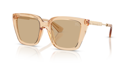 Burberry BE4473U Sunglasses in 429073 Beige / Dark Brown lens