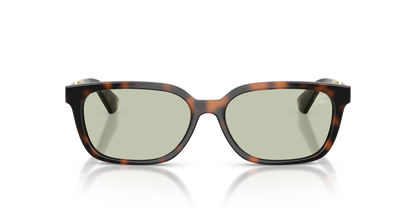 Burberry BE4481D Sunglasses in 3002/2 Dark Havana / Light Green lens, front view