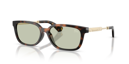 Burberry BE4481D Sunglasses in 3002/2 Dark Havana / Light Green lens