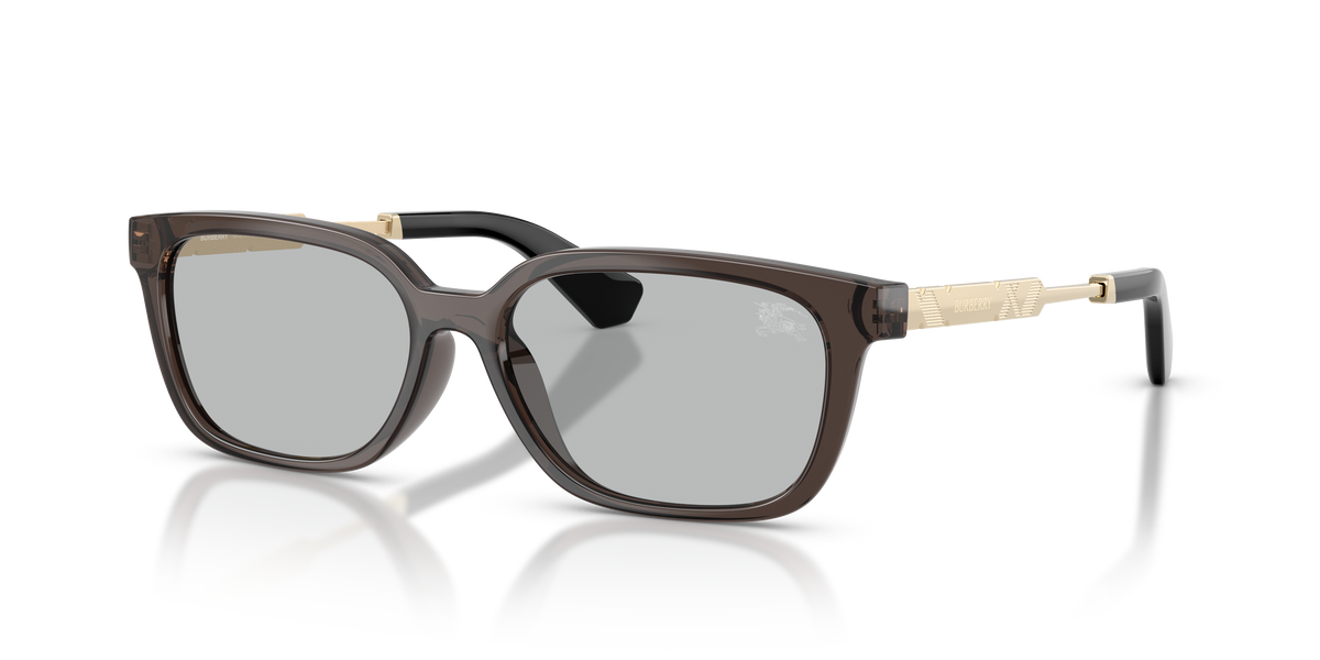 Burberry BE4481D Sunglasses in 411287 Grey / Light Grey lens