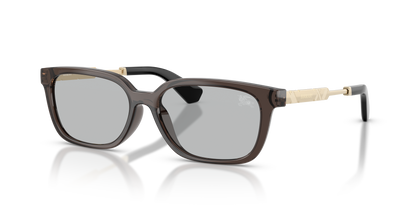 Burberry BE4481D Sunglasses in 411287 Grey / Light Grey lens