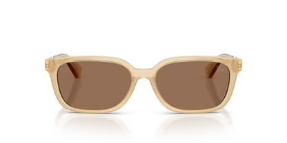 Burberry BE4481D Sunglasses in 419873 Yellow / Dark Brown lens, front view