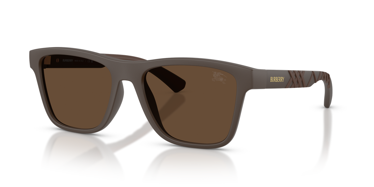 Burberry BE4482U Sunglasses in 423473 Matte Brown / Dark Brown lens