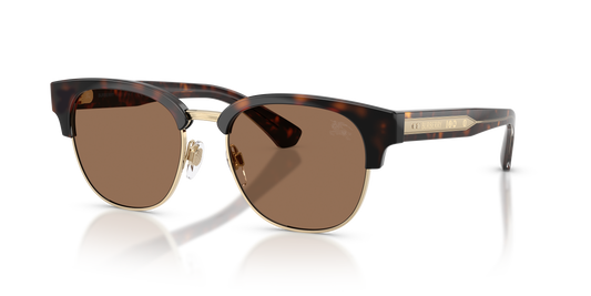 Burberry BE4485 Sunglasses in 420573 Dark Havana / Dark Brown lens