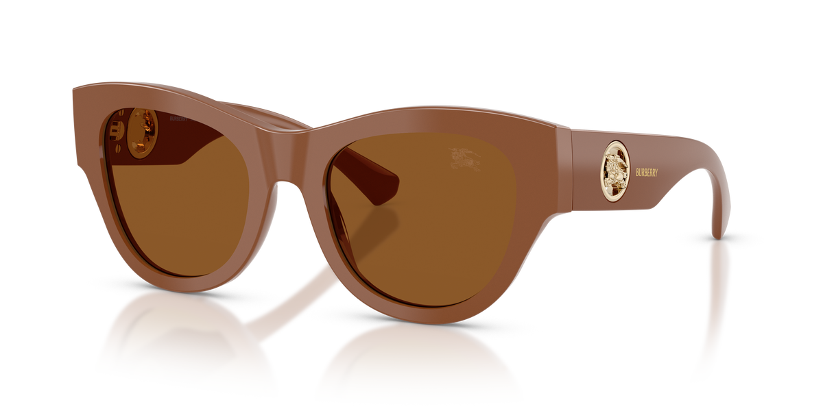 Burberry BE4491 Sunglasses in 422273 Brown / Dark Brown lens
