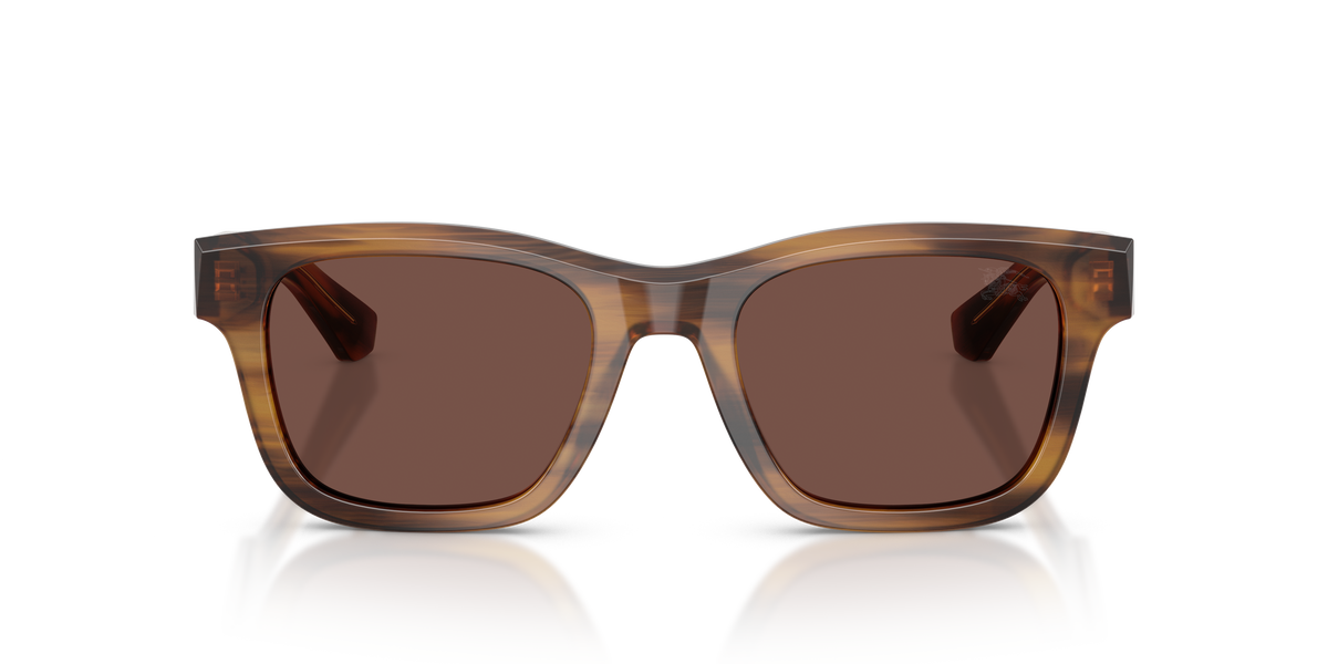 Burberry BE4504 Sunglasses in 425373 Striped Brown / Black Chocolate lens, front view