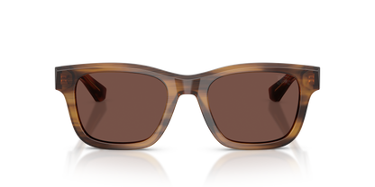Burberry BE4504 Sunglasses in 425373 Striped Brown / Black Chocolate lens, front view