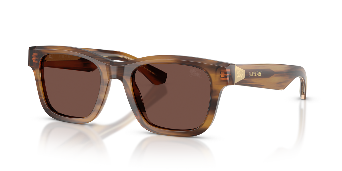 Burberry BE4504 Sunglasses in 425373 Striped Brown / Black Chocolate lens