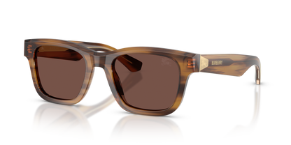 Burberry BE4504 Sunglasses in 425373 Striped Brown / Black Chocolate lens