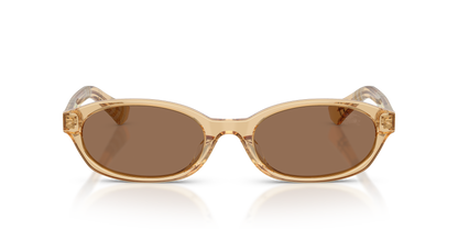 Burberry BE4508D Sunglasses in 416773 Yellow / Dark Brown lens, front view