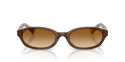 Burberry BE4508D Sunglasses in 424313 Brown / Brown Gradient lens, front view