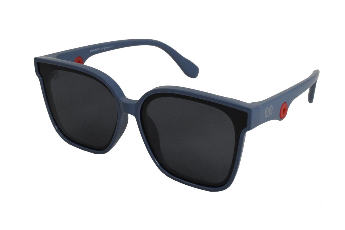 Pitt & Mitt 028P, C5