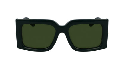 Salvatore Ferragamo | SF2032 302 55