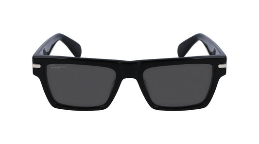 Salvatore Ferragamo | SF1086S 001 54